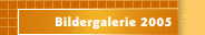 Bildergalerie 2005